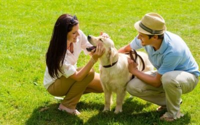 9 tips para equilibrar el cuidado de su mascota con sus metas financieras