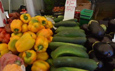 ¿Dieta vegetal con pocas grasas? Podría elevar los niveles de azúcar en la sangre