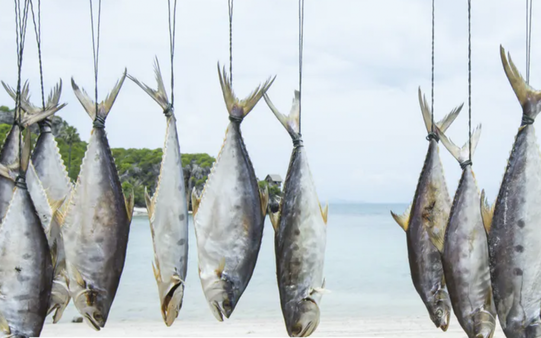 ¿Deberíamos dejar de comer pescado?