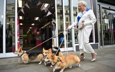 ¿Y ahora qué pasa con los corgis de lsabel II?