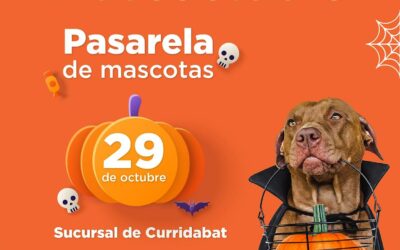 Su Mascota podrá participar en pasarela de Halloween este fin de semana