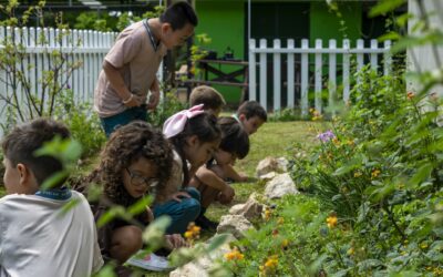 5 consejos para estimular desarrollo cognitivo de los niños en esta última semana de vacaciones