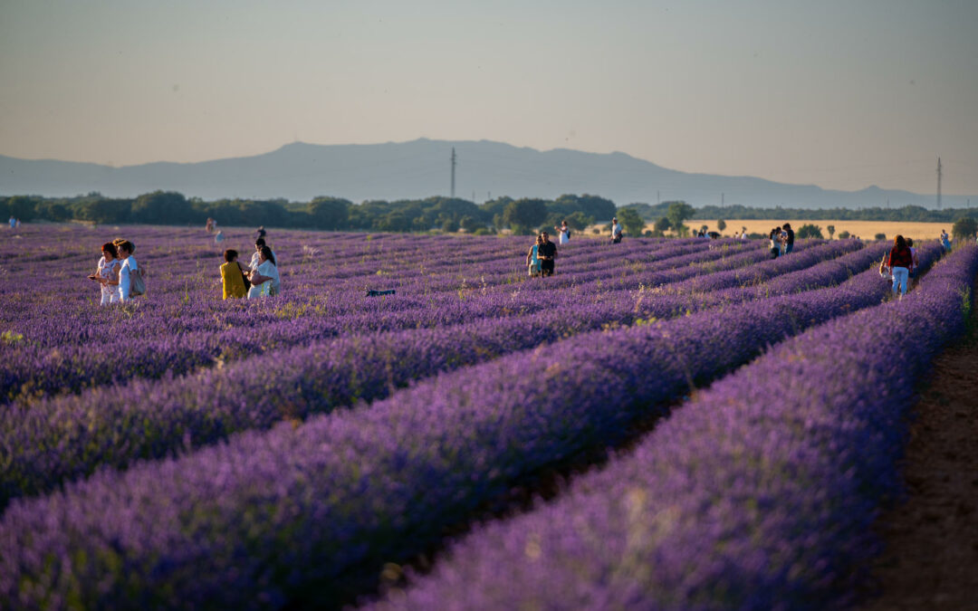 Dime qué perfume usas y te diré de dónde eres