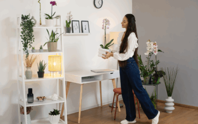 Transforme su hogar sin gastar una fortuna: Decoración Inteligente