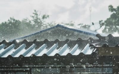 ¿Cómo evitar problemas de salud y estructurales ocasionados por el moho?