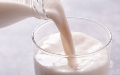 Lácteos que hidratan: una alternativa nutritiva para cuidar la salud durante el verano